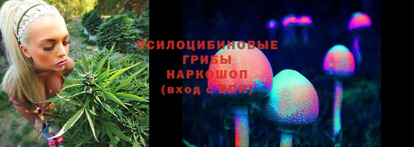 Альфа ПВП Алексин
