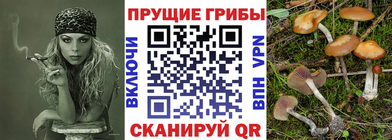 Псилоцибиновые грибы мухоморы  блэк спрут ONION  Грайворон 