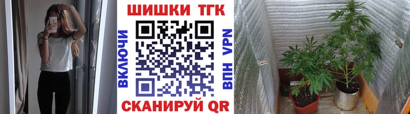 Шишки марихуана THC 21% Грайворон